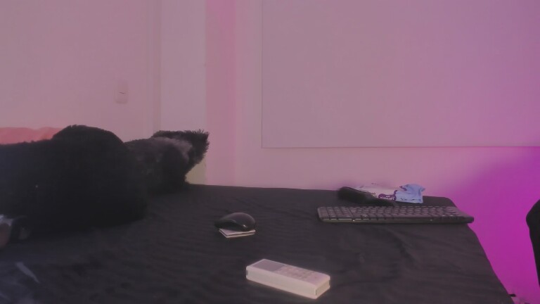 SamanthaEvgeniev's Streamate show and profile